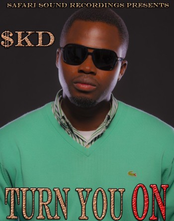 SoundKnockDown a.k.a SKD - TURN YOU ON Artwork | AceWorldTeam.com